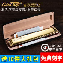 Dongfang Ding German imported reed 28-hole accented C-tune adult professional performance grade 24-hole polyphonic harmonica beginner