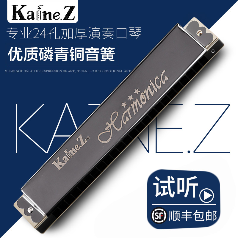Germany imported reed Advanced adult polyphonic professional performance grade harmonica 24 holes accent#A C D E F G tone