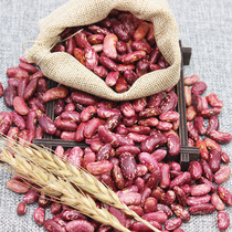 Kidney Beans Purple Flowers Red Purple Flowers Rice Beans Bulk Sand Filling 5 Gu Cereals Red Purple Kidney Beans 5 catty