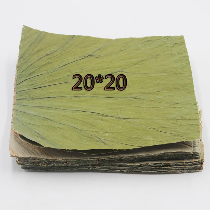 Marvel River Dry Lotus Leaf Sliced Square Cut Glutinous Rice Chicken Pearl Chicken Special Lotus Leaf Tea Lotus Leaf 20 * 20