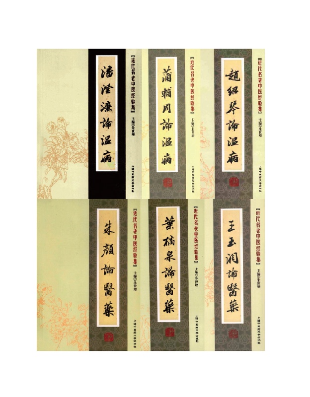 Zhao Shaoqin/Pu Fu Zhou/Pan Chenglian on Wenbing Disease/Zhu Yan/Wang Yurun/Ye Juequan on Medicine 6 Books by Zhu Shizeng