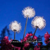 Дорожные садовые фонари на солнечной энергии для беседки