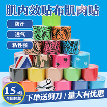 Professional intramuscular effect patch adhesive tape elastic exercise bandage intramuscular effect patch muscle adhesive tape