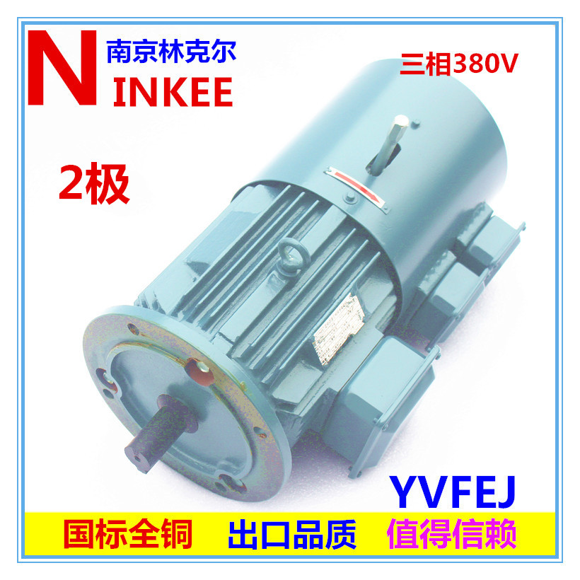 YVFEJ2 extreme brake frequency conversion motor three-phase frequency conversion throttle brake AC asynchronous electric three-phase machine Full copper