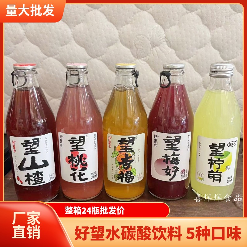 Good Hope Water Hope Hawthorn Sparkling Water Drink 300ml*6 bottles