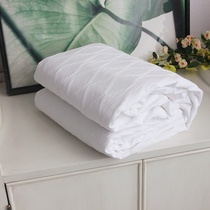White plain and elegant export wrinkled process cotton cotton non-sandwich summer quilt cotton double-layer air-conditioning quilt cover blanket bed cover
