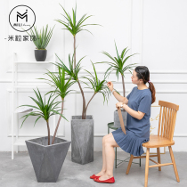 Nordic modern Japanese simulation Dracaena Minimalist bionic plant Living room indoor net red green plant Landscape tree potted plant