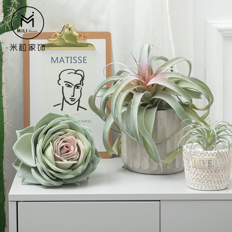 Nordic Landscape Green Plant Simulation Air Grass Plant Decoration Indoor landscaping Small potted Large Air Lando Meat Pendulum