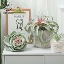 Nordic landscape green plant simulation air grass plant decoration Indoor landscaping Small potted plants Large air orchid meat ornaments