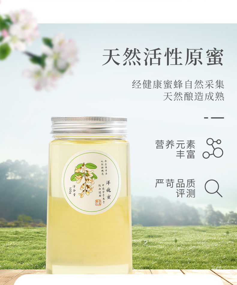 寻蜜人生纯正天然野生土蜂洋槐蜜500g