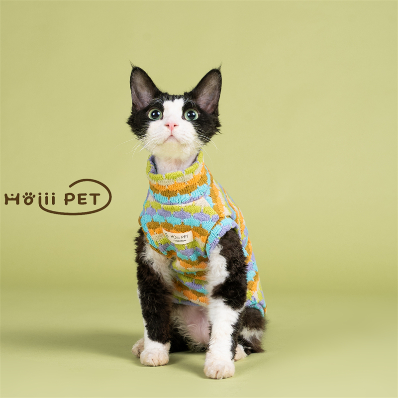 Hoiii Pet Autumn and Winter Colorful Sweater Vest for Devon Cats, Warm and Thick Trendy Knitted Sweater for Hairless Cats Hoiii Pet Autumn and Winter Colorful Sweater Vest for Devon Cats, Warm and Thick Trendy Knitted Sweater for Hairless Cats