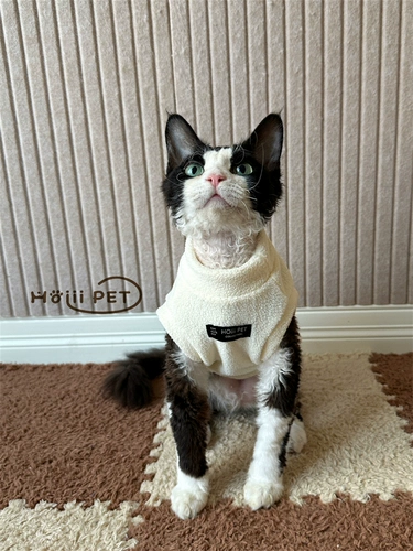 Шестилетний магазин Новые продукты на полках 26-дневная одежда Hoiii Pet Двухсторонний бархатный жилет Devin растягивается мягкая сота