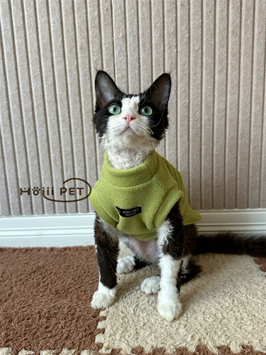 Шестилетний магазин Новые продукты на полках 26-дневная одежда Hoiii Pet Двухсторонний бархатный жилет Devin растягивается мягкая сота