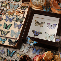 Infeel me three-dimensional bronzing PET sticker pack Butterfly Forest colorful wings handbook diary decoration stickers