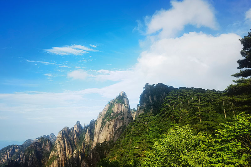 外网下载图案自然