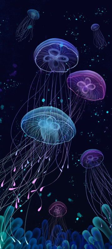 海底 水母 无框