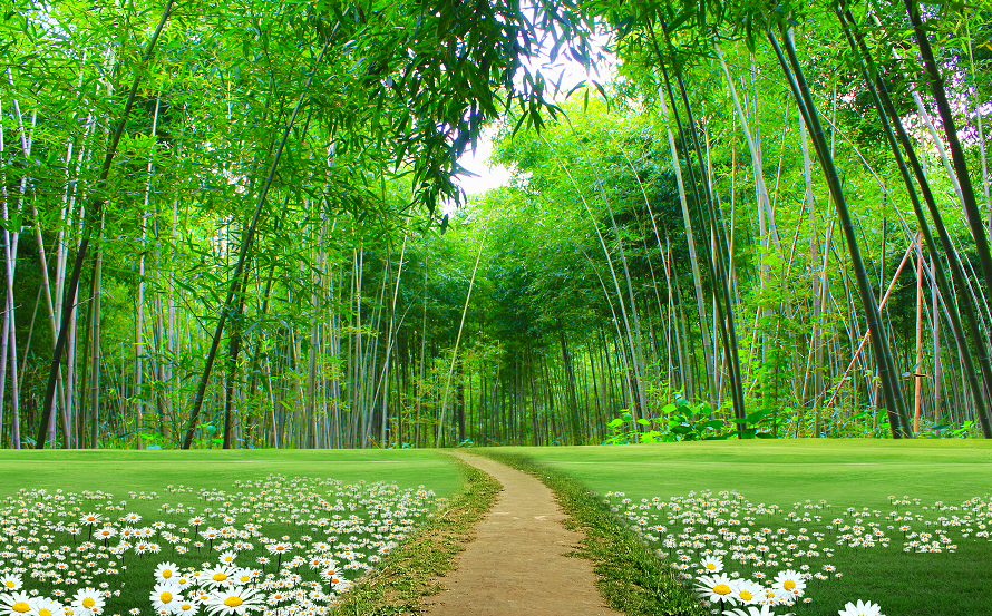竹林竹子背景墙装