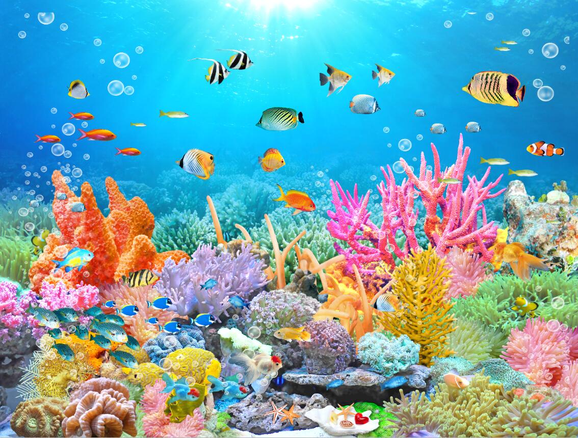 海底世界珊瑚礁小
