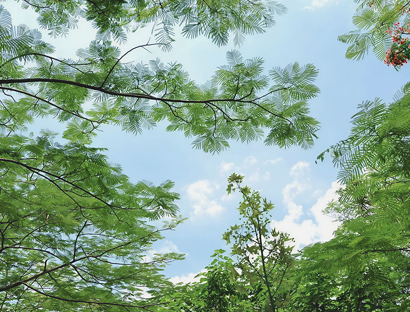 外网下载图案背景