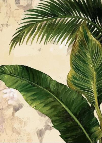 现代热带棕榈芭蕉
