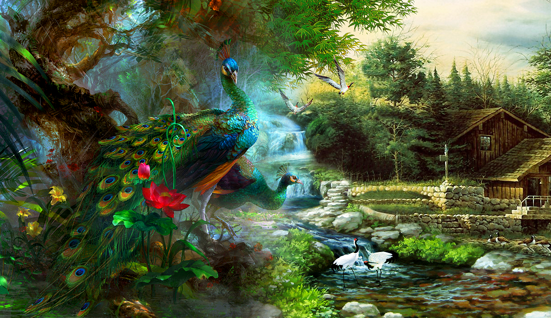 孔雀山水小屋背景