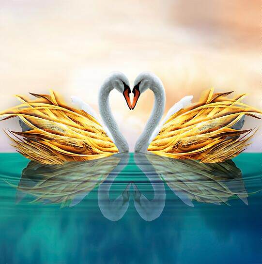 天鹅背景墙天鹅背