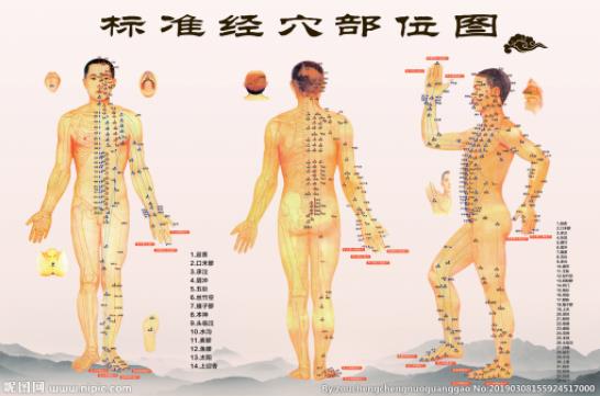 穴位图中医养生 