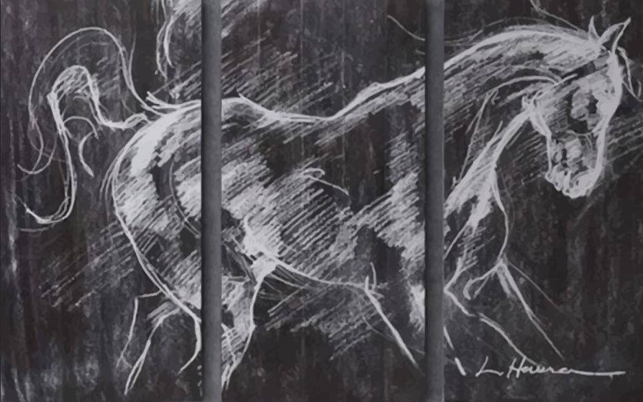 高清骏马黑板白马