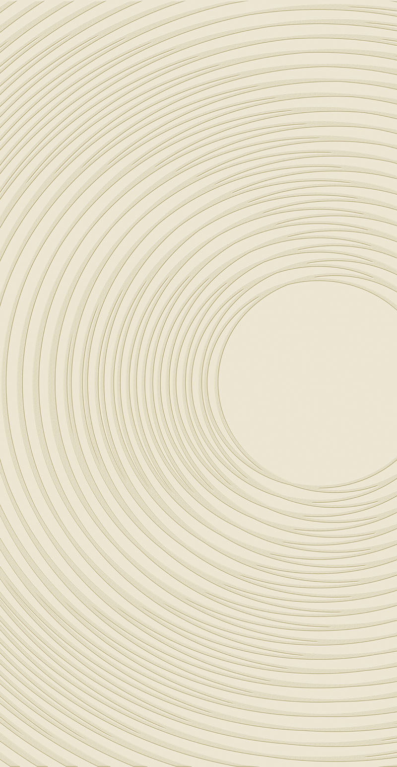 现代简约圆环几何