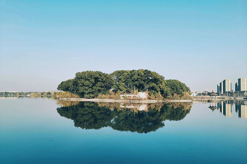 外网下载图案自然