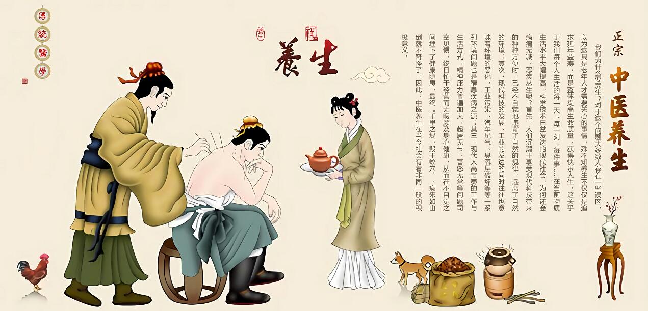 新中式中医养生养