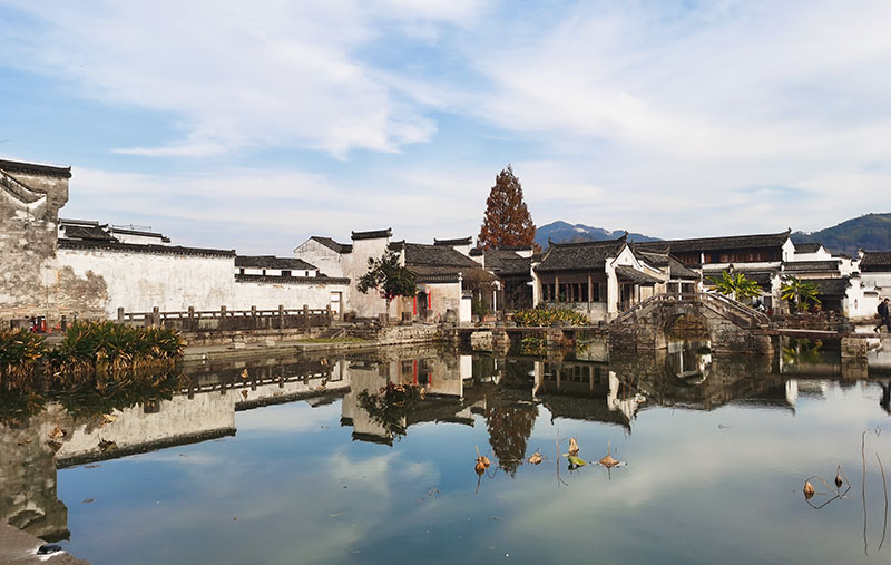 外网下载图案背景