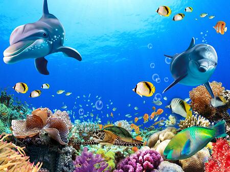海底世界 海豚 