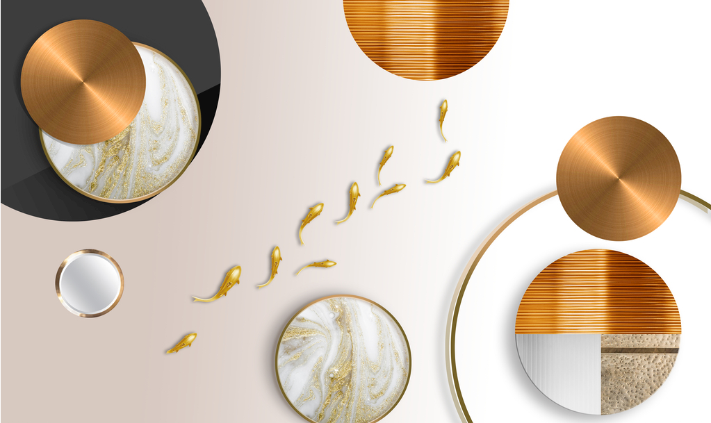 轻奢装饰圆形十鱼