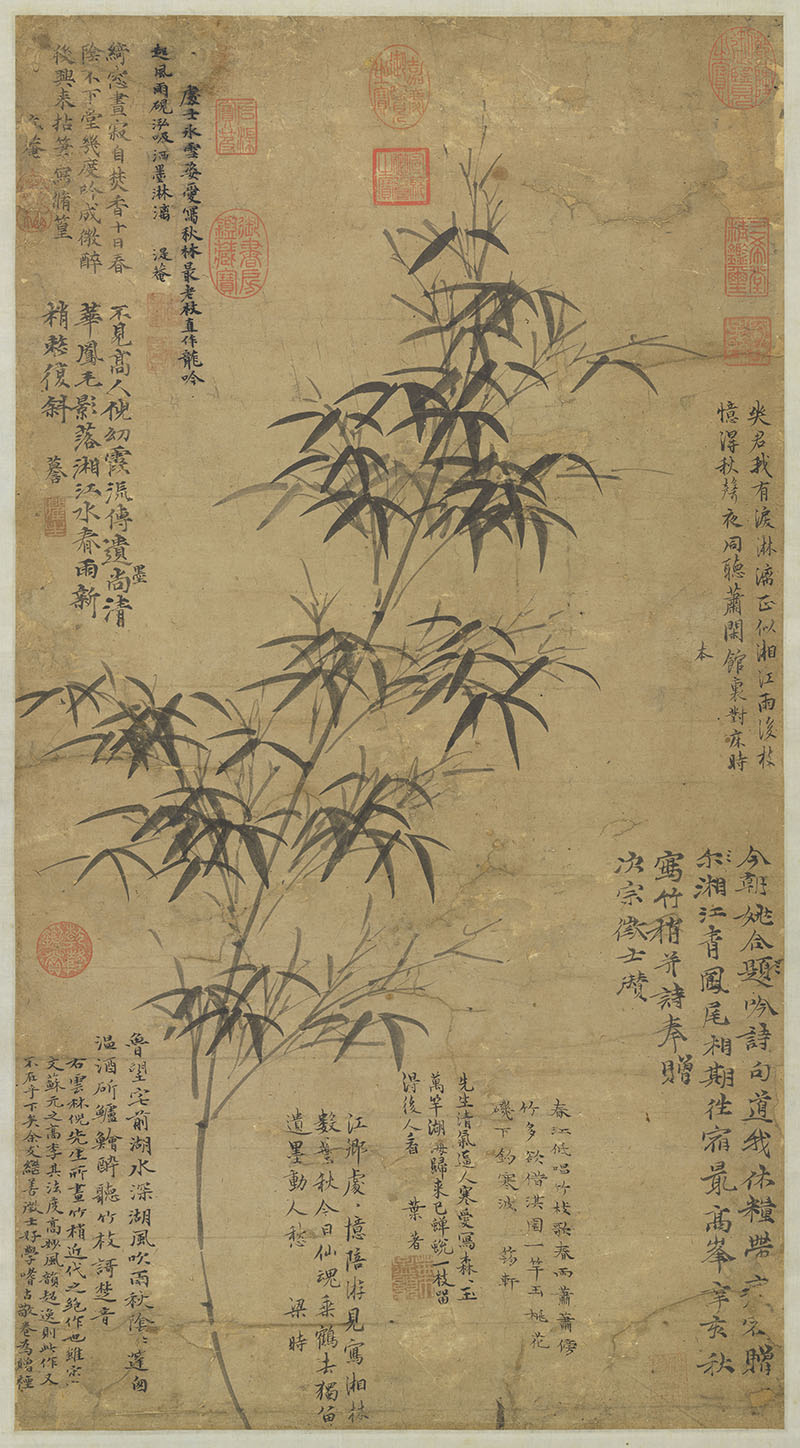 外网下载图案春雨