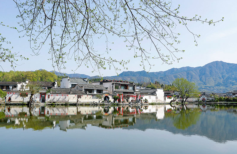 外网下载图案背景