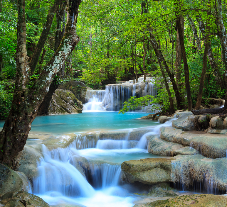 流水 风景 树林