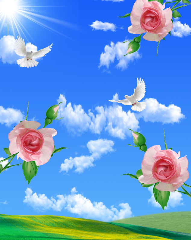 玫瑰花蓝天鸽子吊