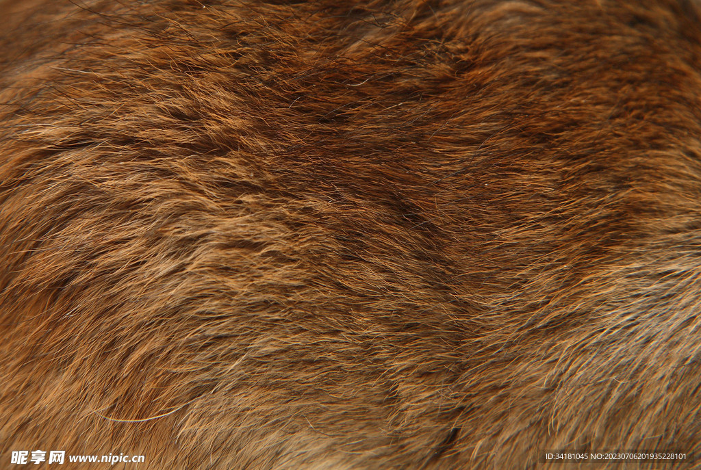 背景墙现代简约动