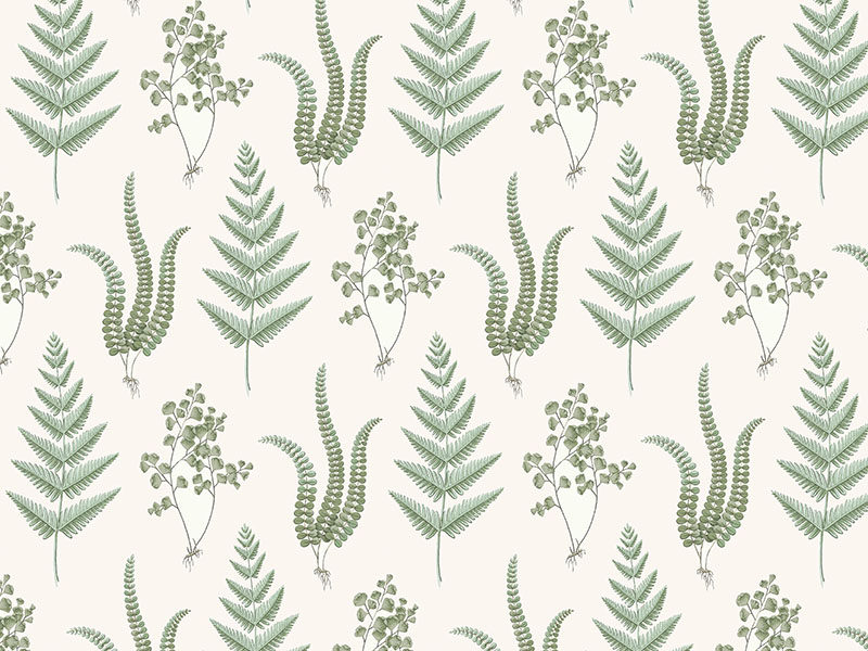 外网下载背景墙现