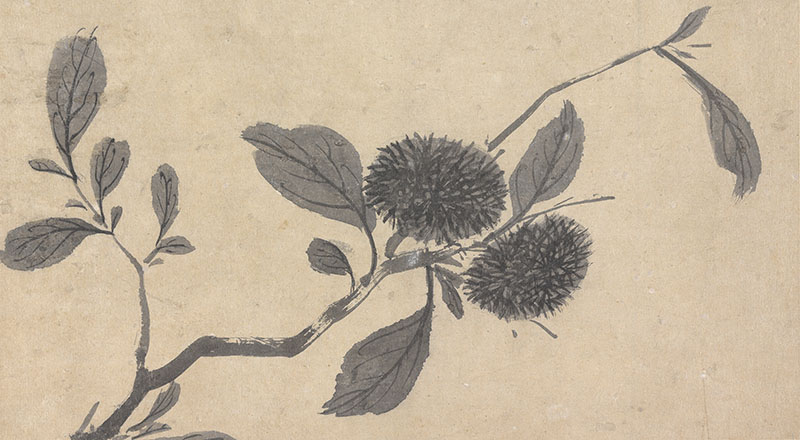 外网下载图案古画