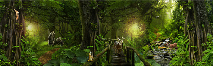 深山老林主题空间