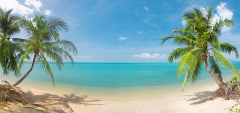 沙滩椰子树背景墙