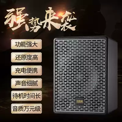 ODAK AT208 120W High power street singing guitar folk playing instrument speaker