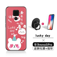 Lucky Day+Ring+[закаленная пленка]