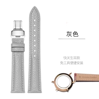 Серого серебряного вывода