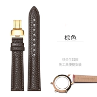 Коричневая золотая пряжка