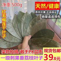 Soursop dried leaf tea Soursop dried leaf tea Graviola leaf soursop tea