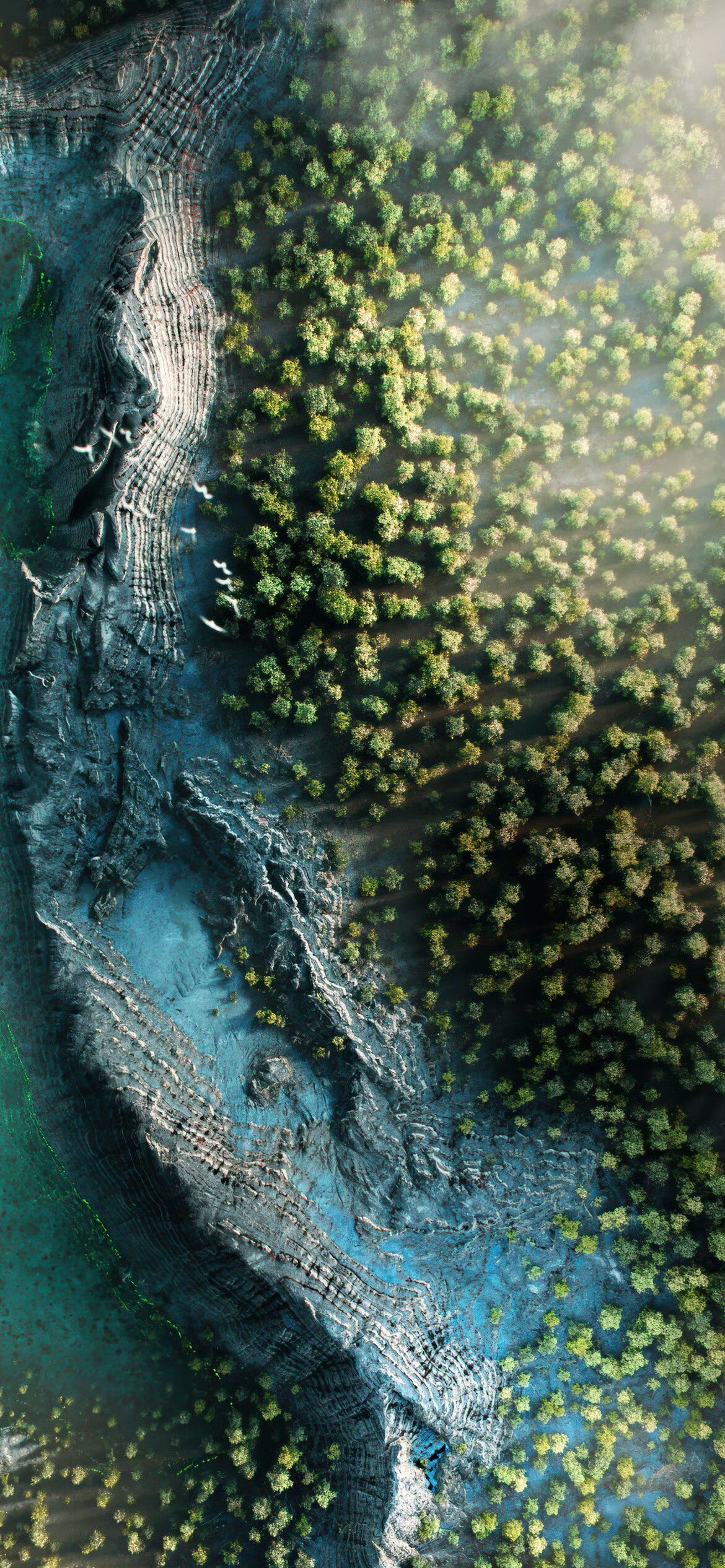 车佰佳汽车用品