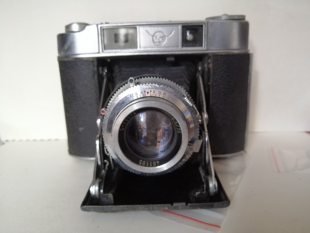 Early Seagull 203 Folding 120 Cameras